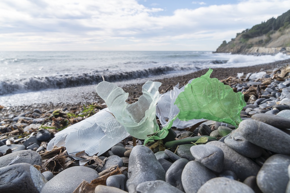 Single-use plastics and fishing gear: Reducing marine litter [EU Legislation in Progress]