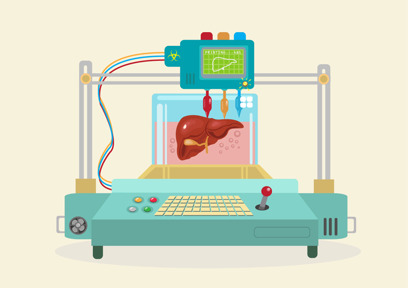 New STOA study examines 3D bio-printing for medical and enhancement purposes