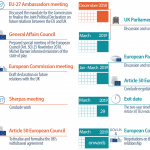 steps to prepare for the special European Council (Article 50) meeting on 25 November