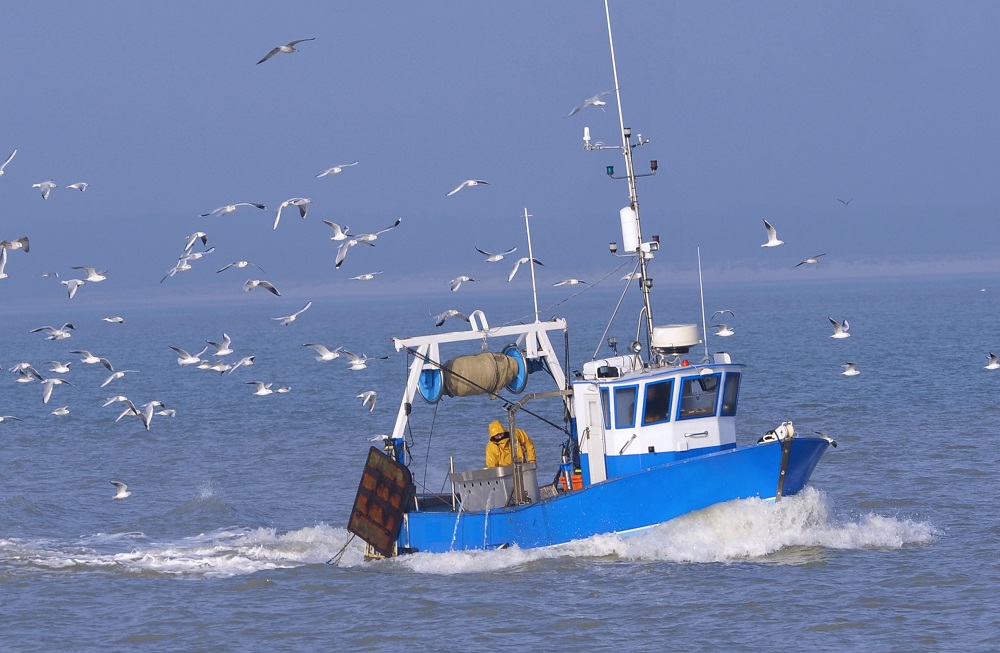 EU policies – Delivering for citizens: Fisheries [Policy Podcast]