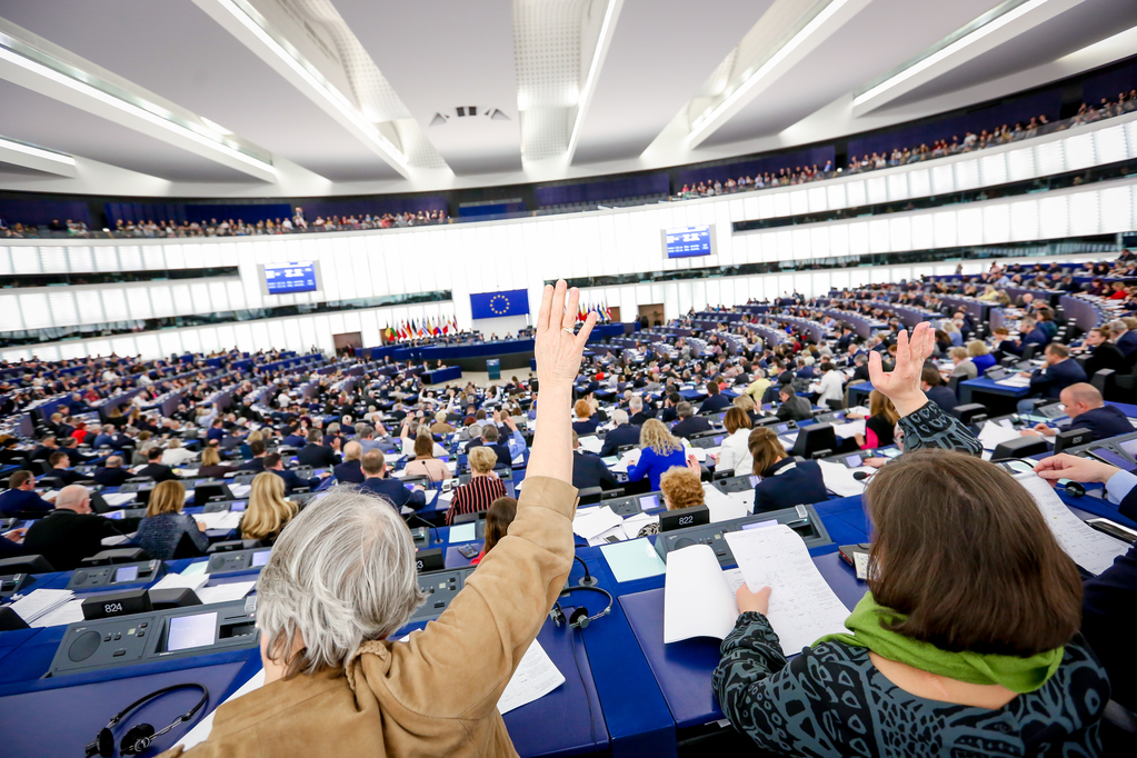 European Parliament Plenary Session – February 2021