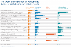 Number of legislative and own-initiative reports