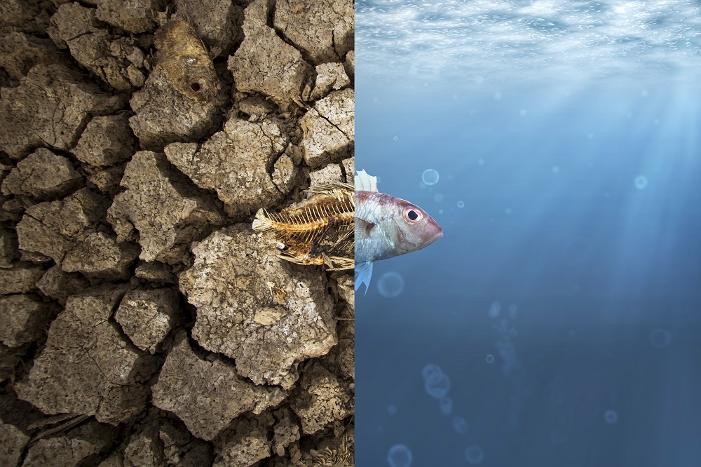 Climate change [What Think Tanks are thinking]