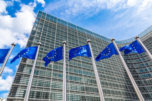 Parliamentary scrutiny of the European Commission: Implementation of Treaty provisions