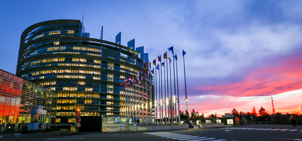 European Parliament Plenary Session November II 2019
