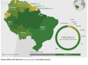 Amazonian region