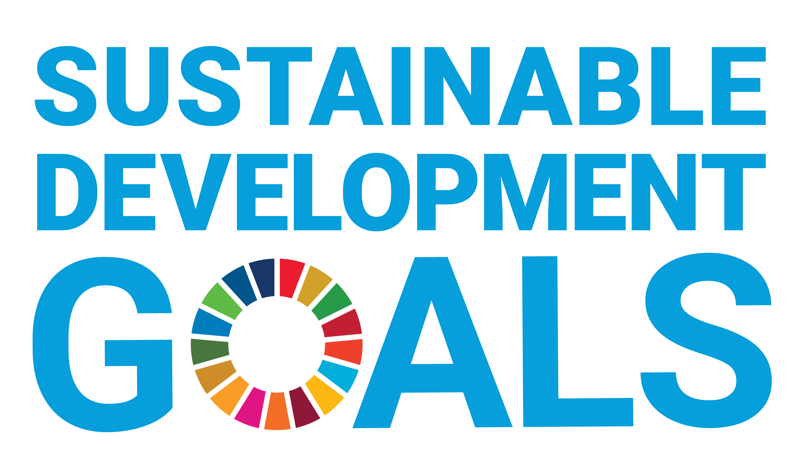 Understanding the Sustainable Development Goals