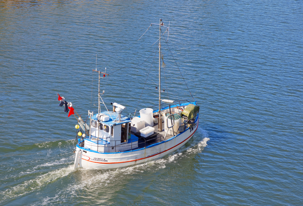 Support for fishermen affected by the eastern Baltic cod closure [EU Legislation in Progress]