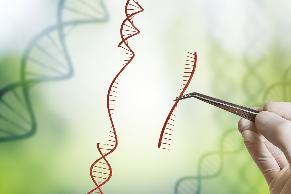 What if CRISPR became a standard breeding technique?