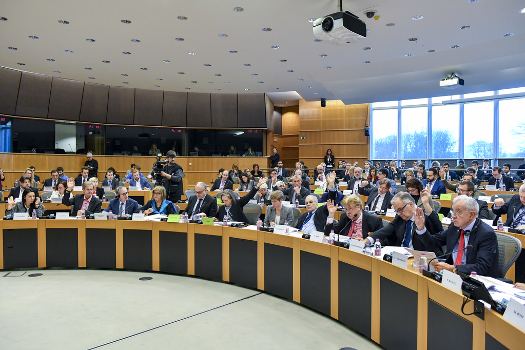 What role for the European Parliament’s committees and how do they work?