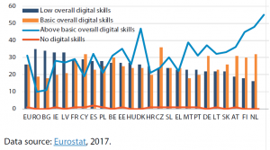 Digital skills (%)