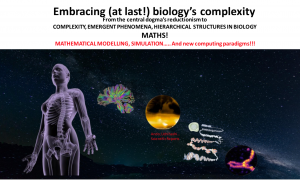 STOA workshop 'The big future of nanotechnology in medicine’