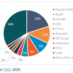 Figure 1 – Global forest distribution, with top 10 countries by reported forest area (as a % of the world's forests)