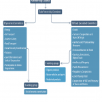 Figure 2 – Institutional framework